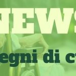 news assegni di cura