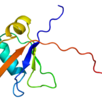 Protein_TARDBP_PDB_1wf0
