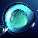 Cellule staminali nella SLA: Cosa sono e quali sono le sperimentazioni in corso