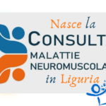 consulta